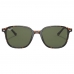 Ray-Ban Leonard RB2193 902/31