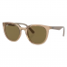 Ray-Ban RB4383 662773
