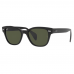 Ray-Ban RB0880-S 901/31