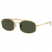 Ray-Ban RB3719 001/31