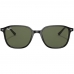 Ray-Ban Leonard RB2193 901/31