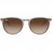 Ray-ban Erika Classic RB4171 6744/13