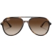 Ray-ban RB4376 710/13
