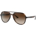 Ray-ban RB4376 710/13