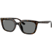 Ray-Ban RB4439D 710/87